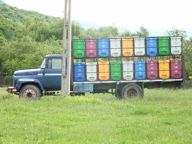 panorama bienenkaesten lkw