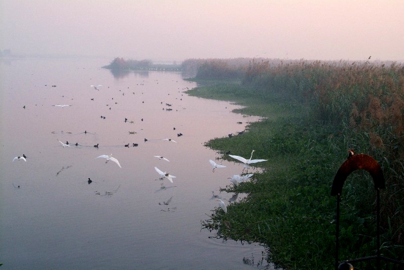 	Indien: Vogelreservat	