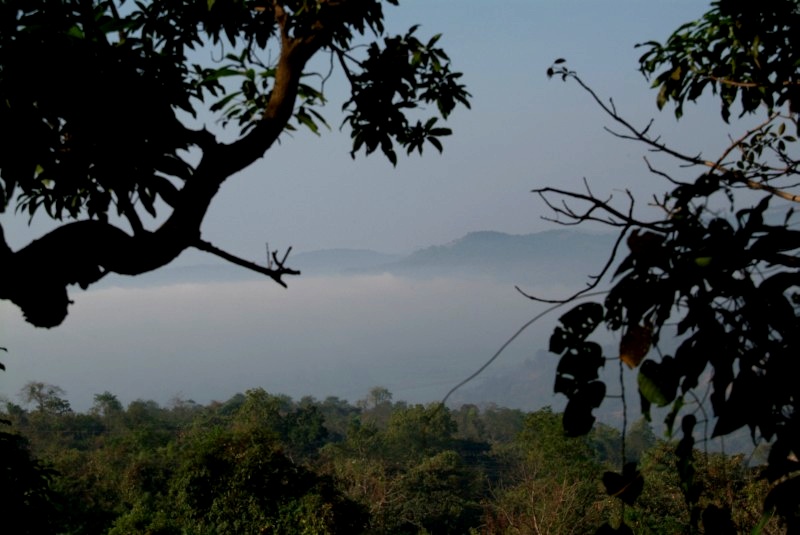 	Maharashtra und Goa, Indien: Nebel über dem Dschungel	