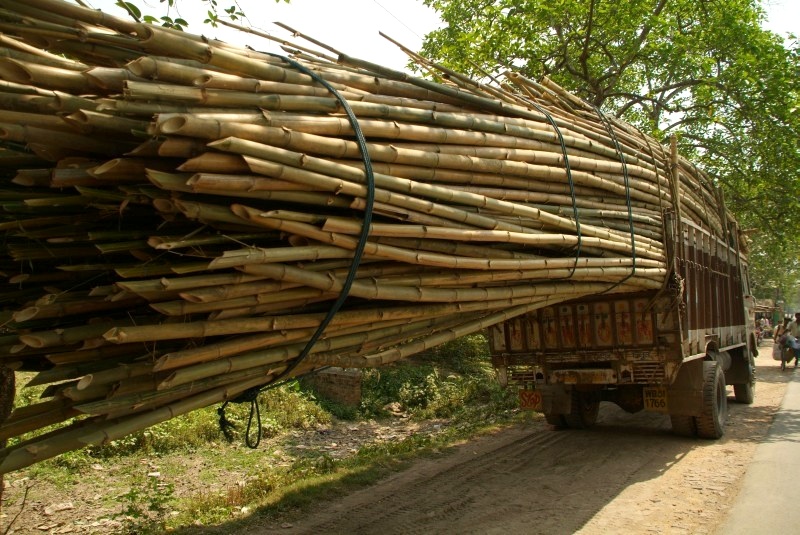 	Indien: Leicht überladener Lastwagen	