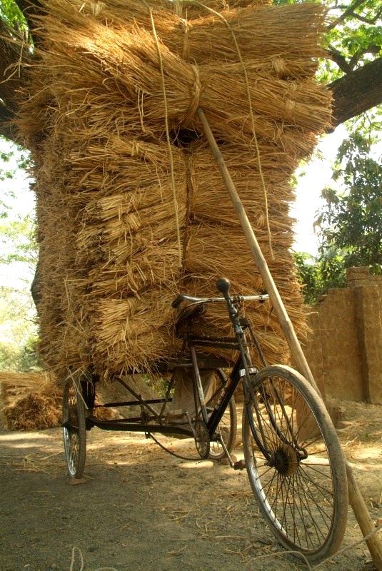 	Indien: Mal ein überladenes Fahrrad	