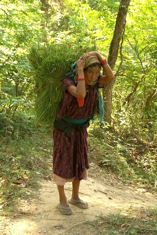 	Nepal: Frau holt Futter für die Tiere	