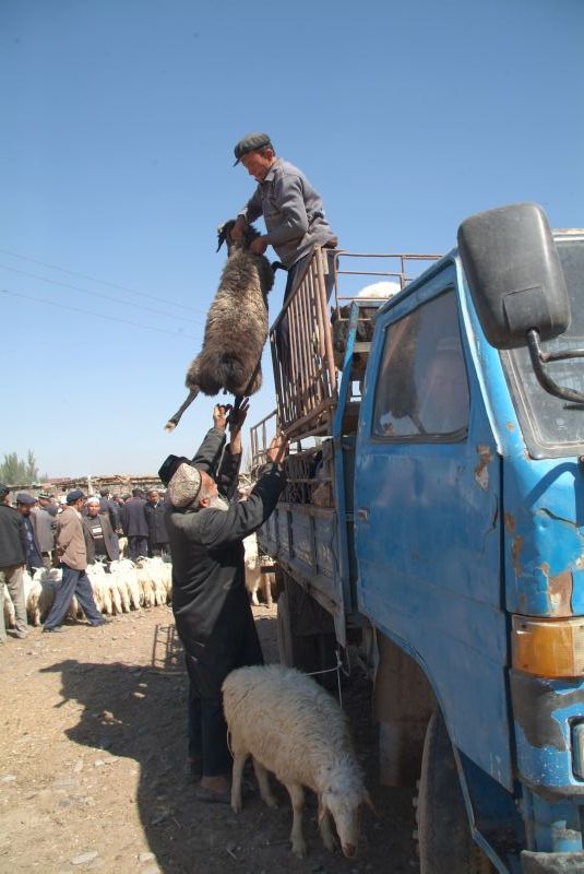 china2 037-tiermarkt-in-kashgar-2