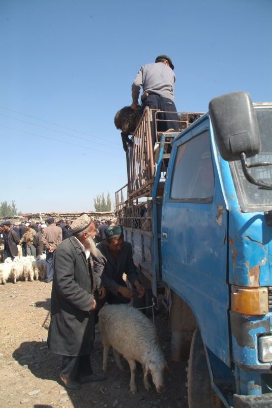 china2 038-tiermarkt-in-kashgar-3