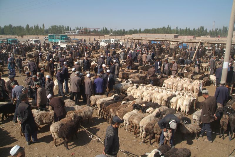 china2 039-tiermarkt-in-kashgar-4