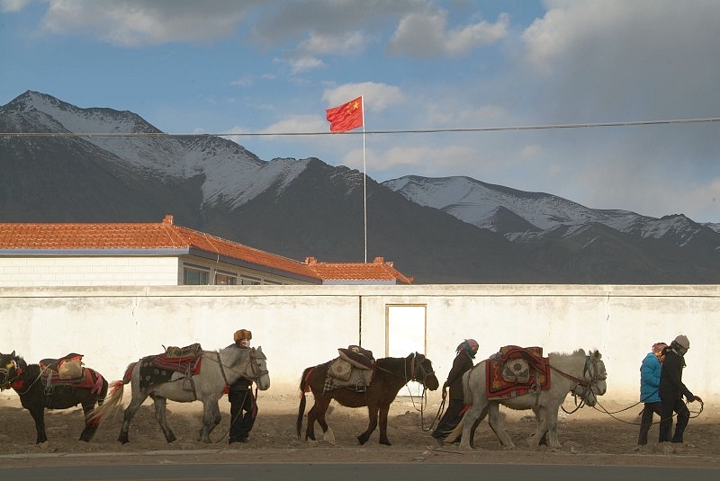 tibet4 007-pferde-vor-moincer-in-tibet