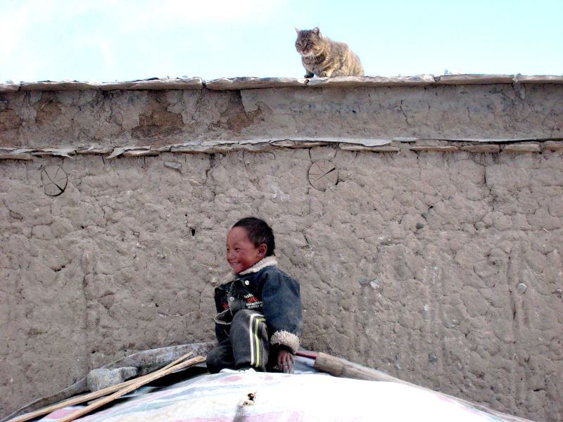 tibet4 021-das-opfer-merkt-noch-nicht-dass-gleich-die-bestie-über-ihn-herfällt