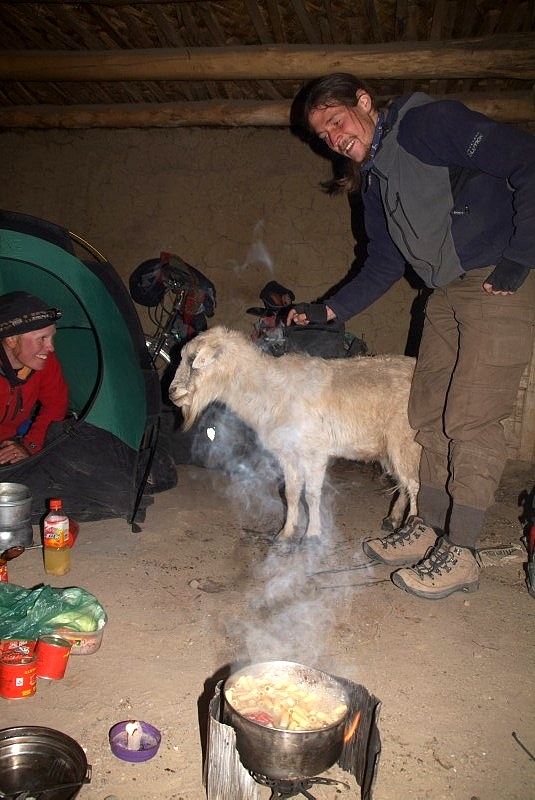 tibet4 023-ziege-zu-besuch-beim-zelten