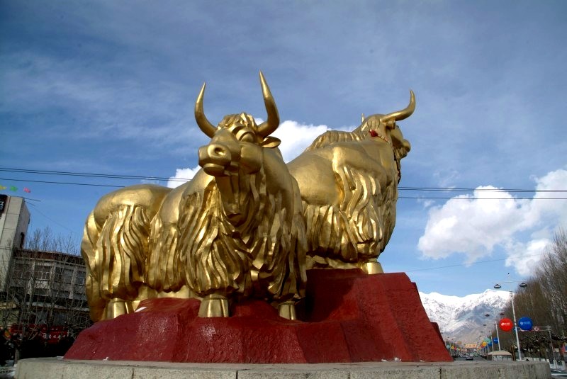 tibet6 030 goldene yaks von den chinesen in lhasa gebaut