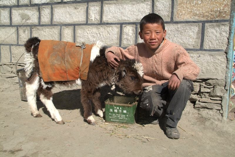 wandern in tibet 007 einheimischer tibetischer junge.jpg	