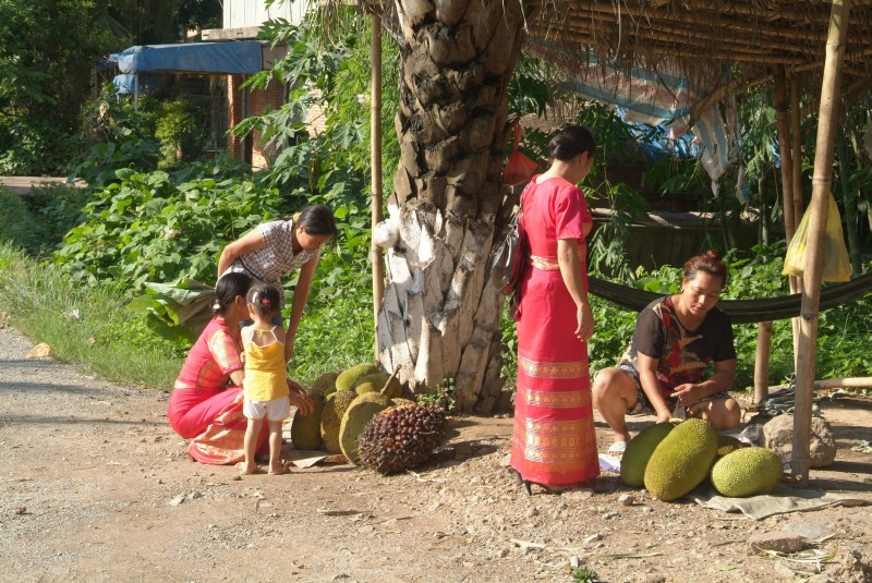 	Jinghong, Yunnan, China: Ölfrüchte und Jackfrüchte an Marktstand	