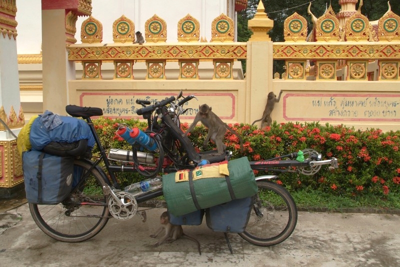 Isan, Thailand: Affen turnen auf unserem Tandem Hase Pino rum