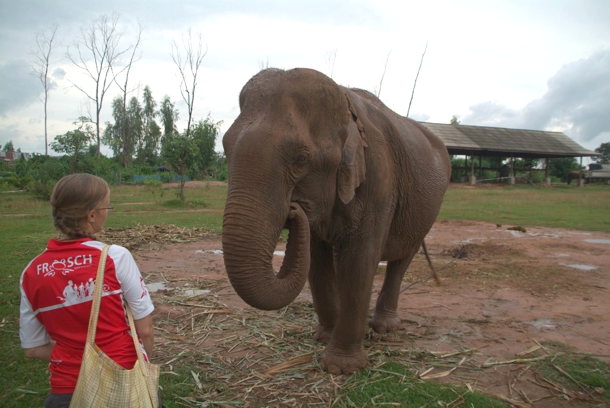 Isan, Thailand: Elephantendorf Ban Ta Klang