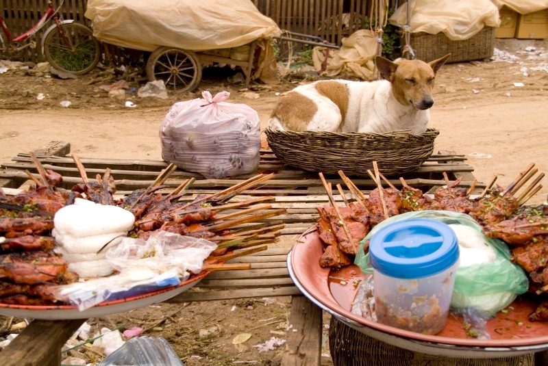 	Kambodscha: Fleischspiesse noch mehr Fleischspiesse und ein Hund	